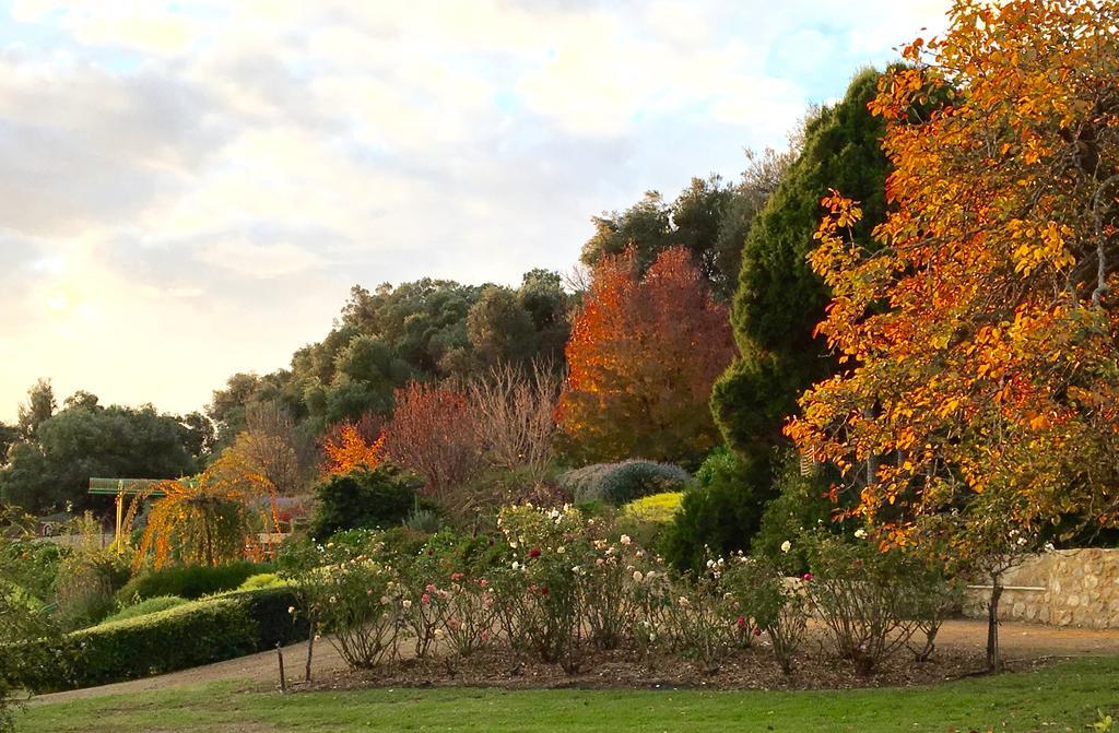 The Garden Cottage At The Olives Yankalilla Eksteriør billede